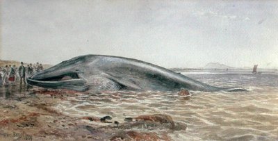 ロングリディ湾のアベラディ・ホエール号 作： Samuel Bough