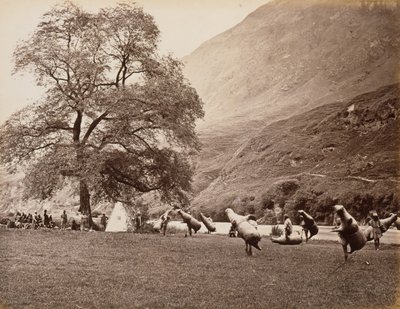 1866 年、バジュラの下のベアス川を渡るムサック。 作： Samuel Bourne
