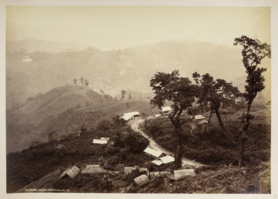 ティーンダリ バザール、ダージリン、  「ダージリンの景色」より、  1860年 - 1880年    (白黒写真) 作： Samuel Bourne