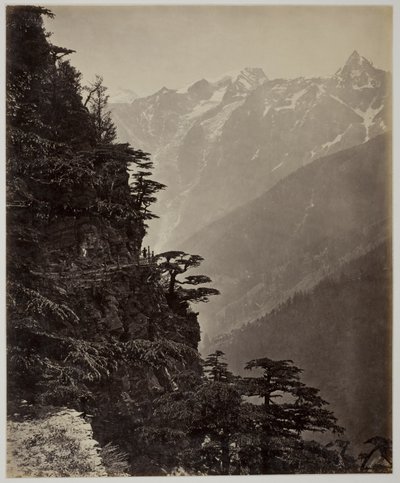 無題 作： Samuel Bourne