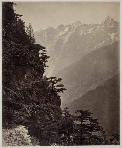 無題 [丘の中腹と山], c. 1865年。 作： Samuel Bourne