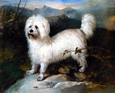 風景の中の小さな白い犬（油彩・キャンバス） 作： Samuel Coleman