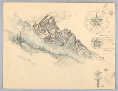 アンテラオ、コルチナから、花の研究とともに 作： Samuel Colman