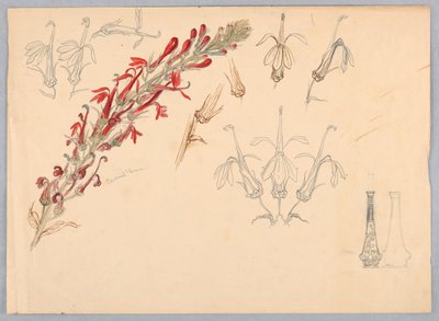 枢機卿の花 作： Samuel Colman