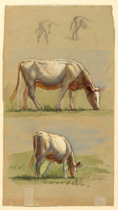 牛、放牧されている 2 頭の牛、子牛の背中 作： Samuel Colman