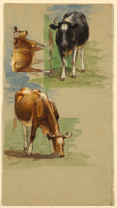 素描、牛、牡牛、1875-80年 作： サミュエル・コルマン