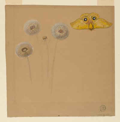 デッサン、ホワイト・デイジーの習作、カモミールの茎と2枚の花弁、カモミールの花弁、1875-90年 作： サミュエル・コルマン