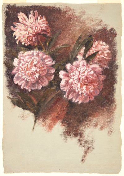 赤牡丹 作： Samuel Colman