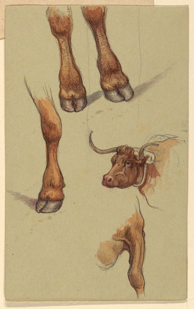 ロードアイランド州ナラガンセットのスケッチ。 作： Samuel Colman