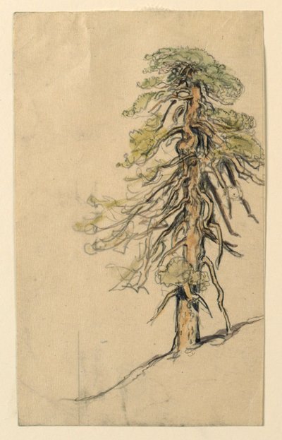 丘の中腹の木の研究 作： Samuel Colman