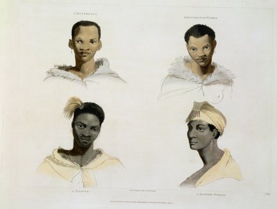 Hottentot、Hottentot Woman、Kaffre、Kaffre Woman：4つの頭と肩のビネット、「アフリカの風景と動物」からのプレート14、アーティストによる彫刻、1804（アクアチント） 作： Samuel Daniell