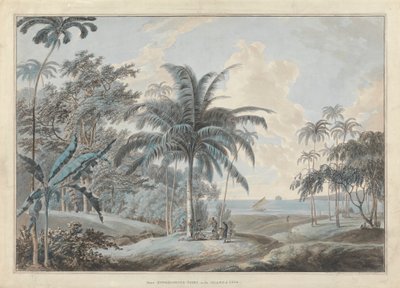 Lähellä Eucheconing Pointia, Java 作： Samuel Daniell