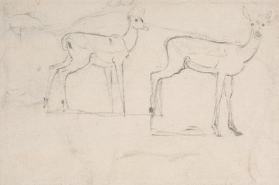 立っている 2 頭のパラシカの習作 作： Samuel Daniell