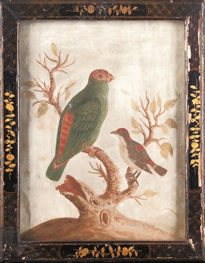 緑と赤のインディアン・インコ、1750年頃 作： Samuel Dixon