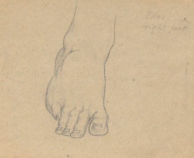 木星の審判の習作（イダス、右足） 作： Samuel Finley Breese Morse