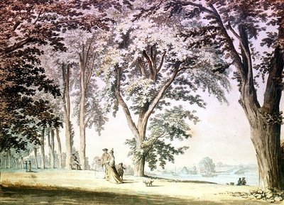 ハマースミスの反対側のテムズ川沿いの木 作： Samuel Hieronymous Grimm