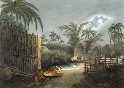 トーマスウィリアムソン作の「オリエンタルフィールドスポーツ」（1808年）から、村（恐怖の牛）をうろついているトラ 作： Samuel Howett