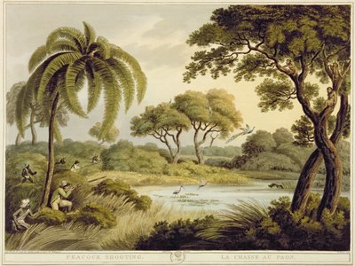 孔雀射撃、オリエンタルフィールドスポーツ、パブから。 Edward Orme、1807（印刷） 作： Samuel Howett