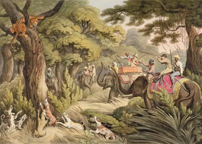 オリエンタルフィールドスポーツ、パブからのヒョウを撮影します。 Edward Orme、1807（印刷） 作： Samuel Howett