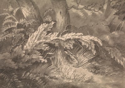 森の端にいるうさぎ 作： Samuel Howitt