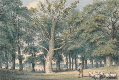 羊飼いと羊のいる公園の風景 作： Samuel Howitt