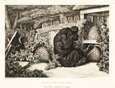ミツバチの群れに襲われたヒグマ。 1811年（エッチング） 作： Samuel Howitt