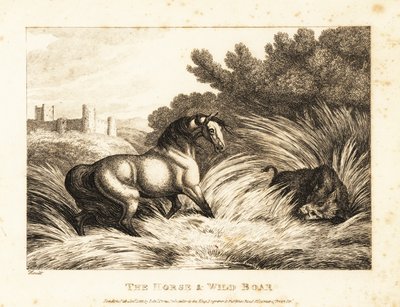 馬とイノシシが牧草地で対決。 1811年（エッチング） 作： Samuel Howitt
