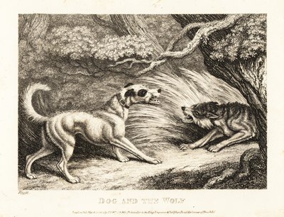 首輪をつけた飼い犬が、飢えたオオカミに食べ物を差し出します。 1811年（エッチング） 作： Samuel Howitt