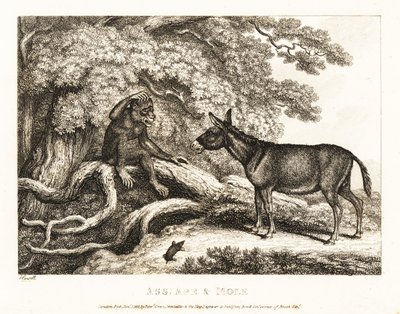 サルとロバがモグラに黙らせるまでうめく。 1811年（エッチング） 作： Samuel Howitt