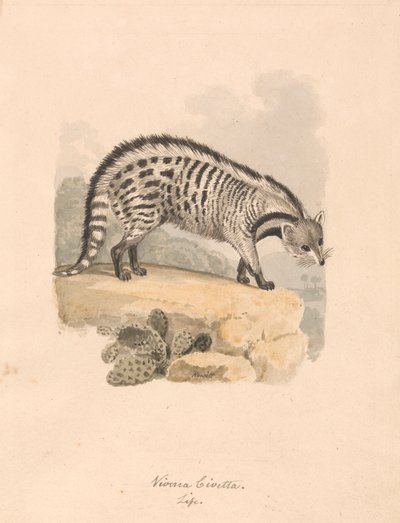 African Civet   1441665   ja       japanese Successfully Translated  Original: The Liverpool and National Steeplechase at Aintree, 1843 Translat: The Liverpool and National Steeplechase at Aintree, 1843 1433136 ja japanese Successfully Translated Original: 作： Samuel Howitt