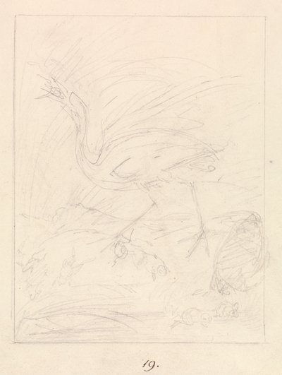 ツルとカエル 作： Samuel Howitt