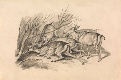 Veado antes de um arvoredo 作： Samuel Howitt