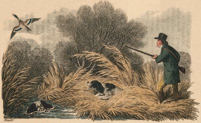 ダック射撃、1810年。 作： Samuel Howitt