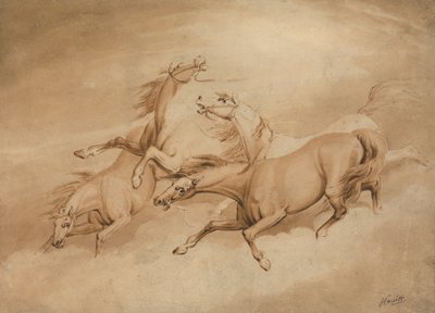Quatro cavalos galopando 作： Samuel Howitt