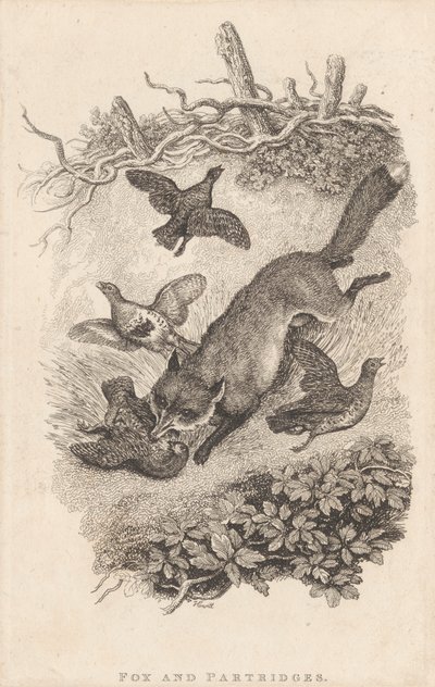キツネとヤマウズラ 作： Samuel Howitt