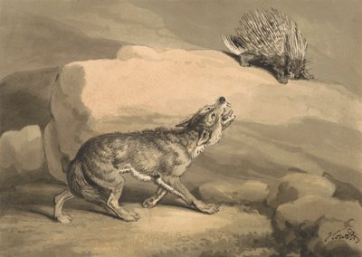 キツネとハリネズミ (ヤマアラシ) 作： Samuel Howitt