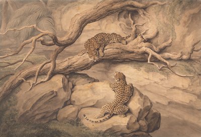  作： Samuel Howitt