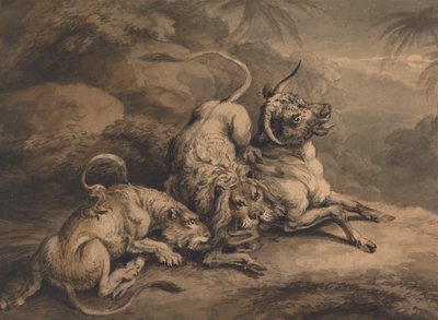 Leijona ja leijona hyökkäävät härän kimppuun 作： Samuel Howitt