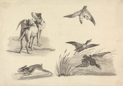 ハウンド、ノウサギ、ハヤブサ、アヒルの研究シート 作： Samuel Howitt