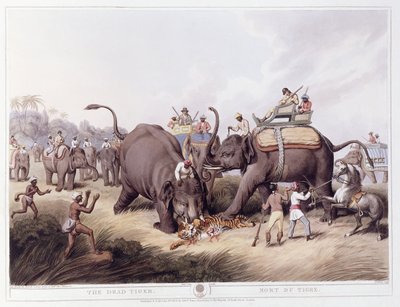 デッドタイガー;タイガーの死、1807年 作： Samuel Howitt