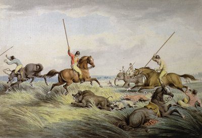 The Hog Chase-The Kill、from &39;Orme&39;s Collection of British Sporting Prints&39;、1822 作： Samuel Howitt