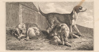 Three Dogs   1447435   ja       japanese Successfully Translated  Original: A series of sketches, views in Great Britain, the Continent and America 1772-1778 (watercolor) Translat: A series of sketches, views in Great Britain, the Continent and America 177 作： Samuel Howitt