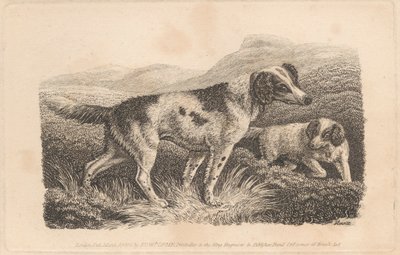 2匹の犬 作： Samuel Howitt