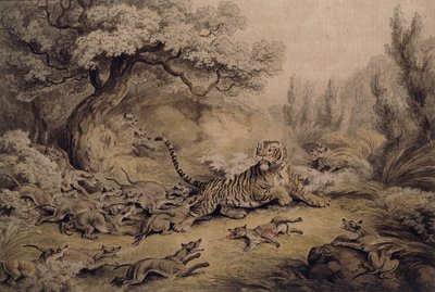 タイガーを攻撃する野生の犬、 作： Samuel Howitt