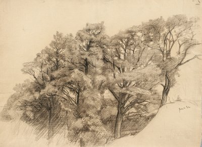 木のある風景、1884年（バフレイド紙に木炭） 作： Samuel Isham