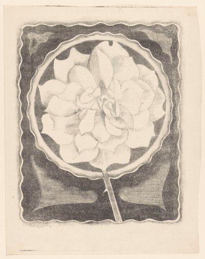 バラ（丸、縁が波状） 作： Samuel Jessurun de Mesquita (signed by artist)