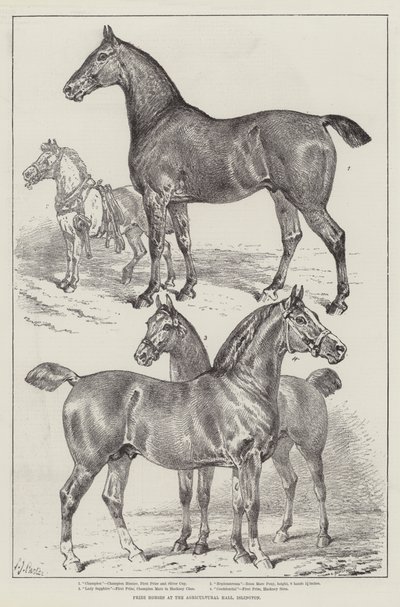 イズリントンの農業ホールでの馬の賞品 作： Samuel John Carter