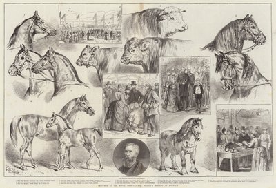 ノリッジでの王立農業協会の会議でのスケッチ 作： Samuel John Carter