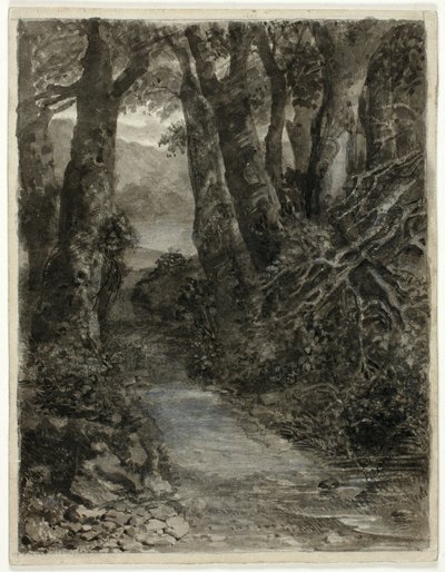 森林研究 作： Samuel Palmer