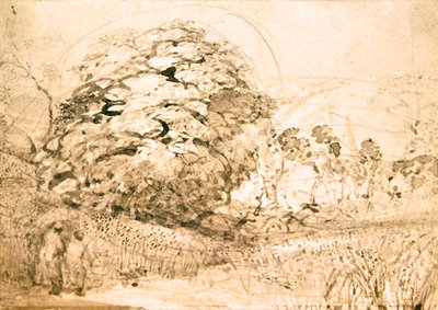 トウモロコシ畑の道 1832-33年頃 （紙に水彩画） 作： Samuel Palmer